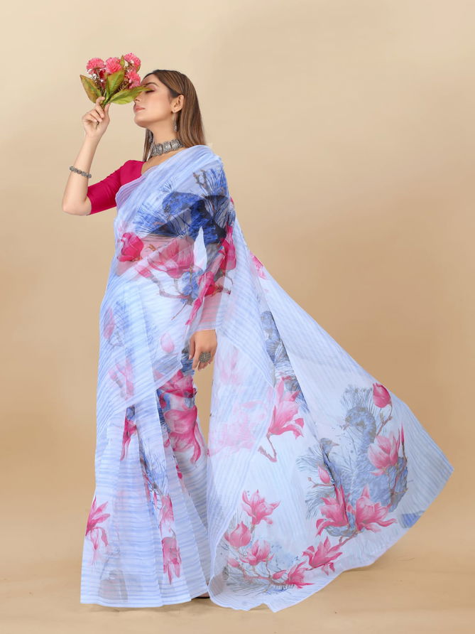 Shree Radha Raman Organza Printed Sarees Catalog